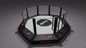 3D MMA kafesi