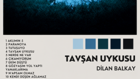 Sanatçı Albüm Afiş Çalışması