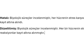Metin Düzeltme