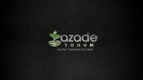 Azade Tohum İçin Yapılan İntro