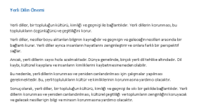 brief makale