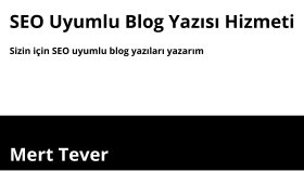 özgün ve SEO uyumlu içerikler hazırlarım