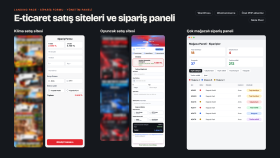 WordPress ile satış sayfaları hazırlıyorum