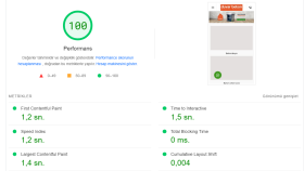https://www.duvarbeton.com/ PageSpeed Insights Optimizasyonu