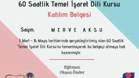 iş örneğim1