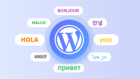 web sitenize dil desteği ekleyebilirim