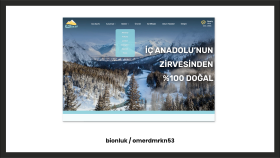 Web Tasarımı Çalışması