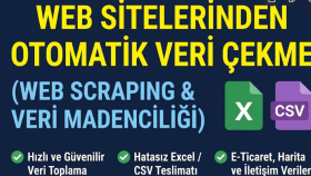  web sitelerinden bot yazarak otomatik veri çekerim