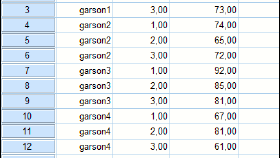 SPSS ANOVA TESTİ