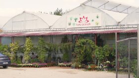Firma Tanıtım Kurgusu