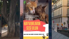 afiş tasarımlarınızı yaparım