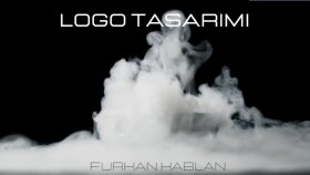 firmanızın vizyonunu gösterebilecek bir logo yapabilirim