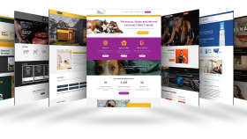 özel olarak web sitenizi yazabilirim