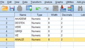 SPSS, LISREL ve AMOS konusunda sizlere destek veririm