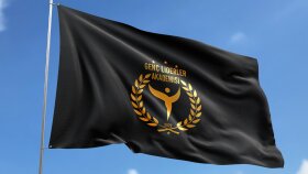 profesyonel kurumsal logo olustura bilirim