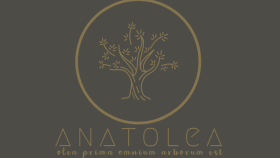 Profesyonel logo tasarımı