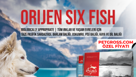 Petgross sosyal medya gönderisi