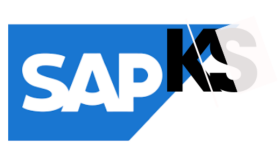 SAP MM konusunda yardımcı olurum