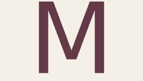 MUSE – Modern Web Sitesi Tasarımı
