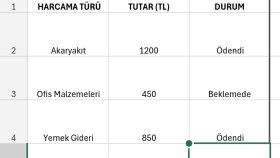 Haftalık Harcama Tablosu