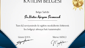 ingilizce-türkçe çeviri