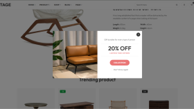 sizin için baştan sona bir websitesi yapabilirim