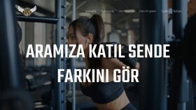profesyonel web sitesi tasarlayabilirim
