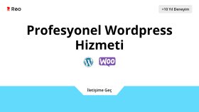 size profesyonel wordpress hizmeti verebilirim
