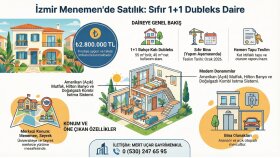 Profesyonel İnfografik ve Sunum Tasarımı
