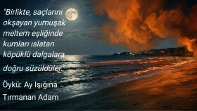 kültür-edebiyat metinleri ve yaratıcı içerikler yazıyorum