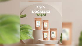 Sosyal medya post tasarımı