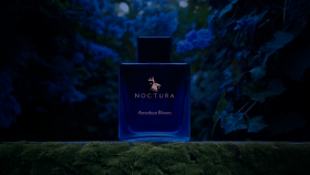 Noctura: Kurgusal Görsel Kimlik Projesi