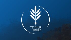 özgün, akılda kalıcı, yaratıcı logo tasarlıyorum