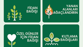 Yesil Dünya