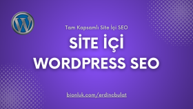 kapsamlı site içi seo hizmeti verebilirim