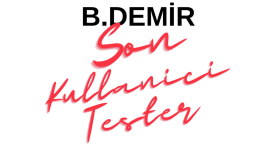 bir uygulama ve web sitesini test ederim