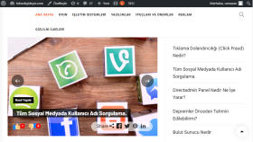 Kurumsal Ve Kişisel Wordpress Site Kurulumu Yapılır