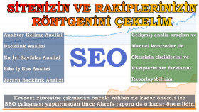 sitenizin ve rakiplerinizin seo röntgenini çekebilirim