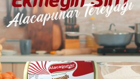 ALACAPUNAR POST TASARIM