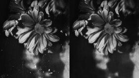 sizin için fotoğraflarınızı düzenleyebilirim