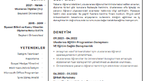 Minimalist Özgeçmiş Örneği