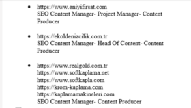 SEO CONTENT MANAGER