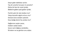 Şairane yazılar