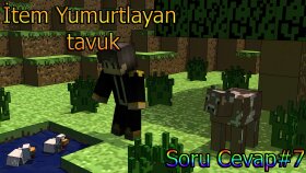 İtem yumurtlayan tavuk