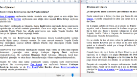 Türkçeden İspanyolcaya web site çevirisi