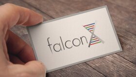 FalconX - Logo Tasarımı