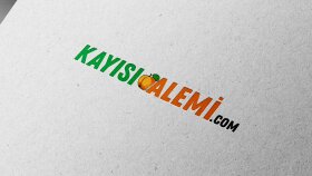 Profesyonel Logo Tasarımı