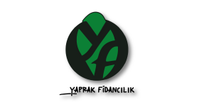 Yaprak Fidancılık