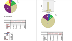 SPSS-20 ve EViews
