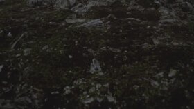 Showreel